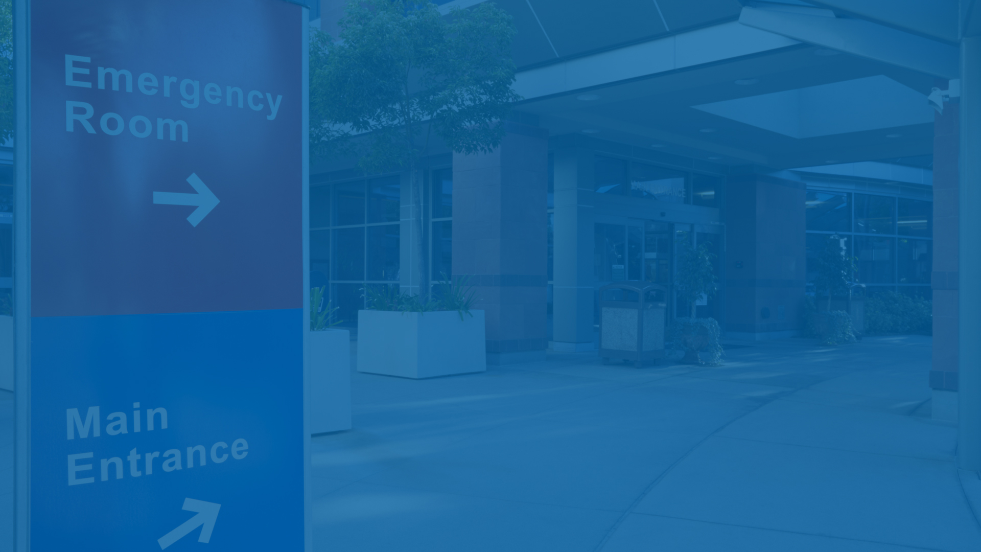 Portland Language Services logo